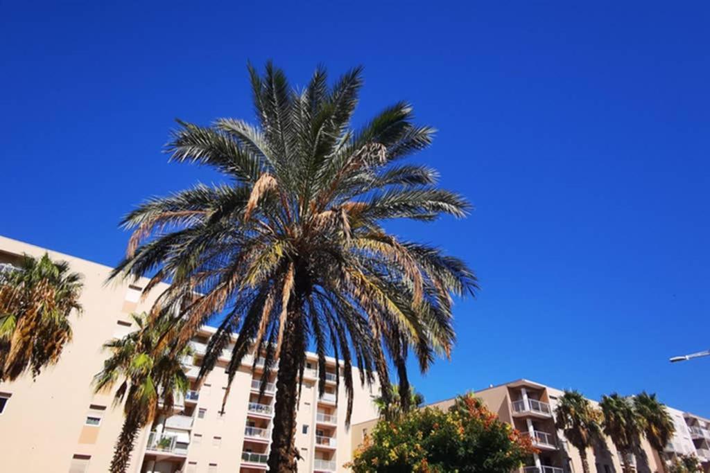 Appartement Premium, Proche Faculte & Centre Ville Ideal Digital Nomad Perpignan Exterior foto