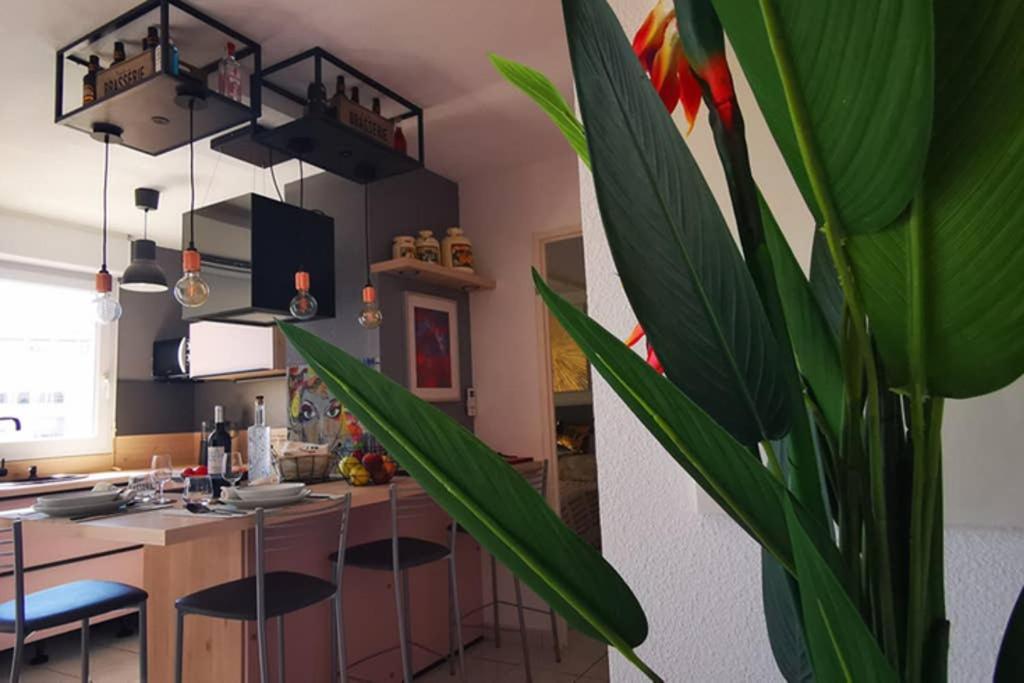 Appartement Premium, Proche Faculte & Centre Ville Ideal Digital Nomad Perpignan Exterior foto